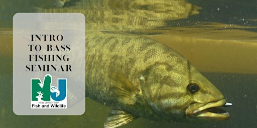 Primaire afbeelding van Intro to Bass Fishing Seminar