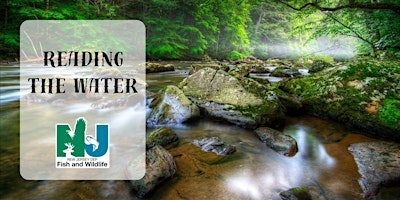 Copy of Reading the Water primary image