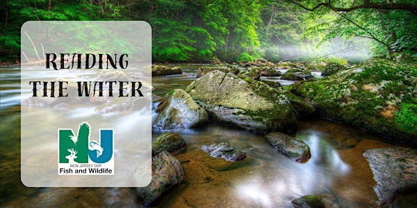 Reading the Water