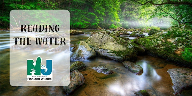 Image principale de Reading the Water