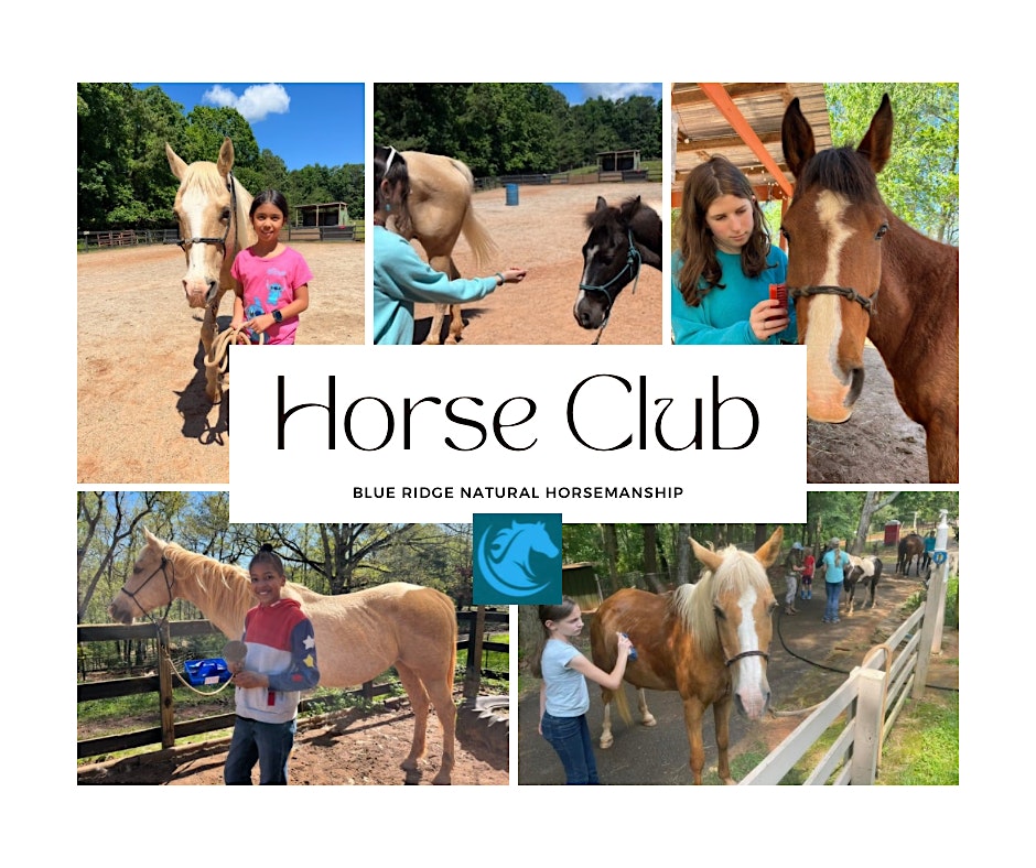 Horse Club