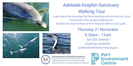 Adelaide Dolphin Sanctuary Walking Tour primary image