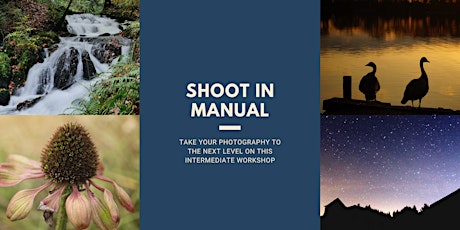 Intermediate Photography Workshop - shooting in Manual and more primary image