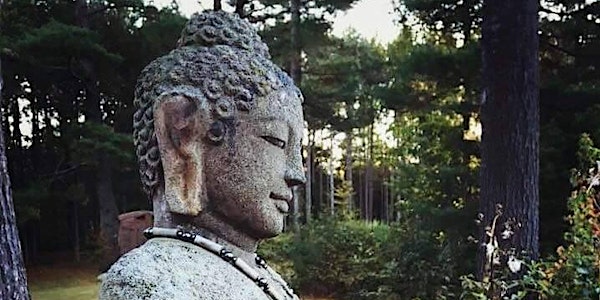 Online Spring 2020 5 Day Mindful Self Compassion Intensive