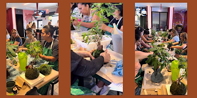 Botanical (Kokedama) Class primary image