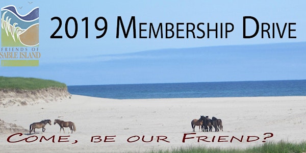 Friends of Sable Island Society 2019 Membership Drive