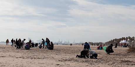 Imagen principal de Limpieza de playa en Patacona