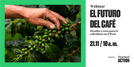 El futuro del café, Desafíos y retos para la Caficultura en el Perú