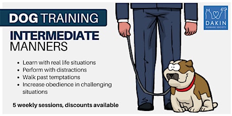 Intermediate Manners Dog Training -Leverett primary image