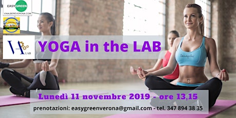 Immagine principale di Yoga in the Lab - in via Albere Verona il benessere in pausa pranzo 