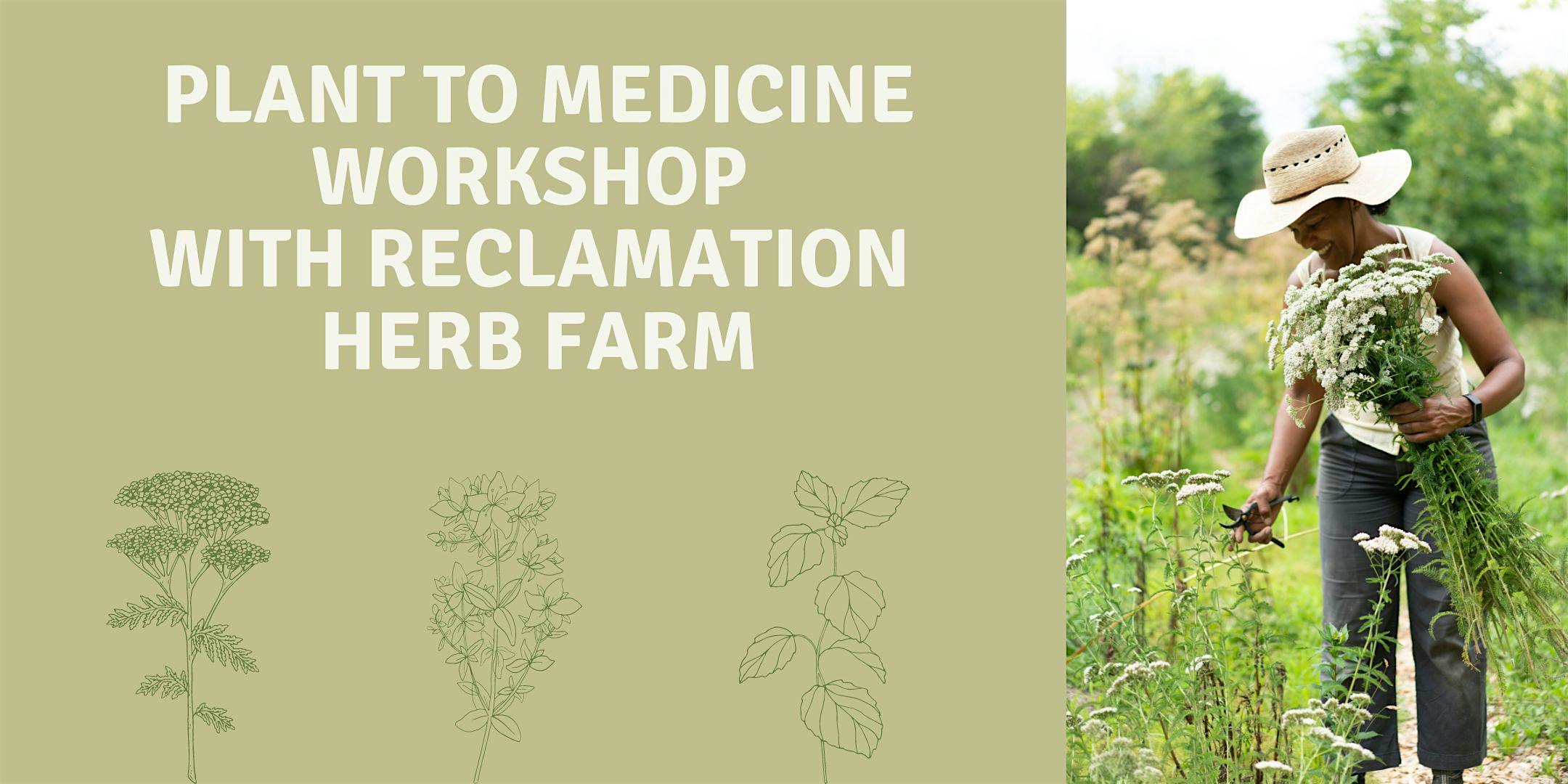 Plant to Medicine Workshop with Reclamation Herb Farm