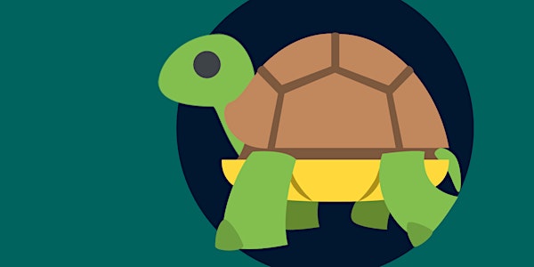 Tortoise Shack Live- Go Big