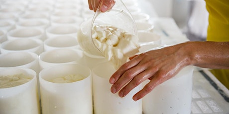Hands-on Cheesemaking Workshop with Valley Milkhouse primary image
