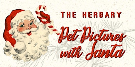Pet Pictures with Santa primary image
