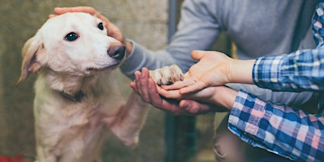 Dog Adoption Event primary image