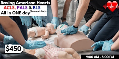 Immagine principale di AHA ACLS/PALS/BLS Renewal All In One Day.