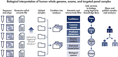 CLC Cancer Research Workbench & Ingenuity Variant Analysis workshop primary image