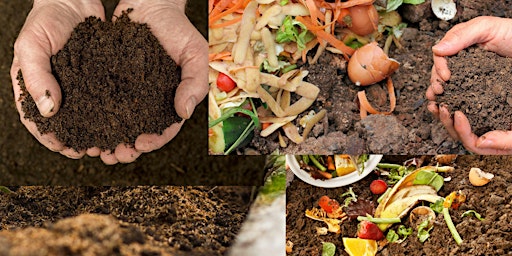Image principale de Introduction to Composting Class