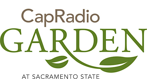 CapRadio Garden at Sacramento State Grand Reveal
