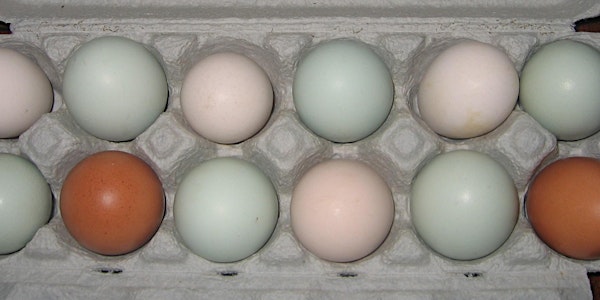 POSTPONED!  - Grading Eggs for Market: Issues and Options