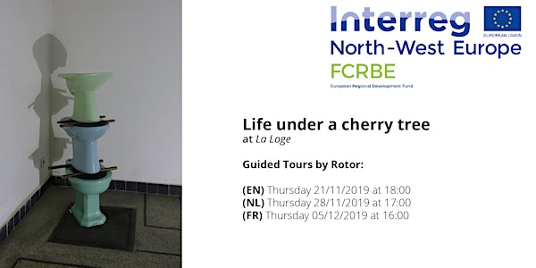 Guided Tours through Life Under a Cherry Tree (NL)