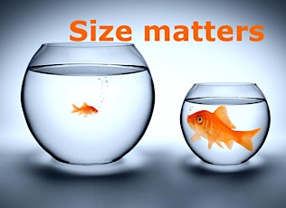 Size matters primary image