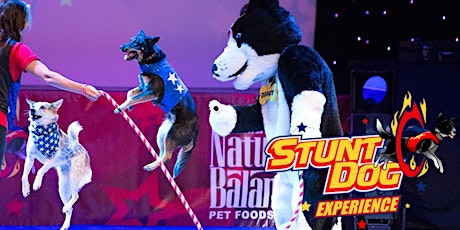 Chris Perondi's "Stunt Dog Experience" - Afternoon Performance, 3:00pm