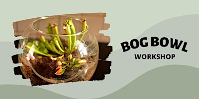 Bog Bowl Workshop primary image