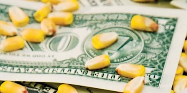 Fort Dodge -  How to get $4 Corn:  Learn Crop Marketing From Start to Finis...