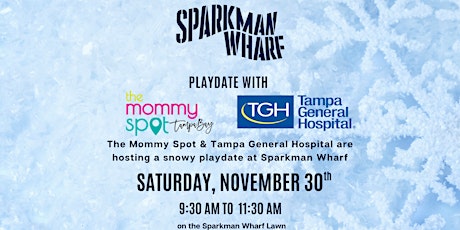 Sparkman Wharf & Mommy Spot Anniversary Playdate presented by Tampa General Hospital primary image