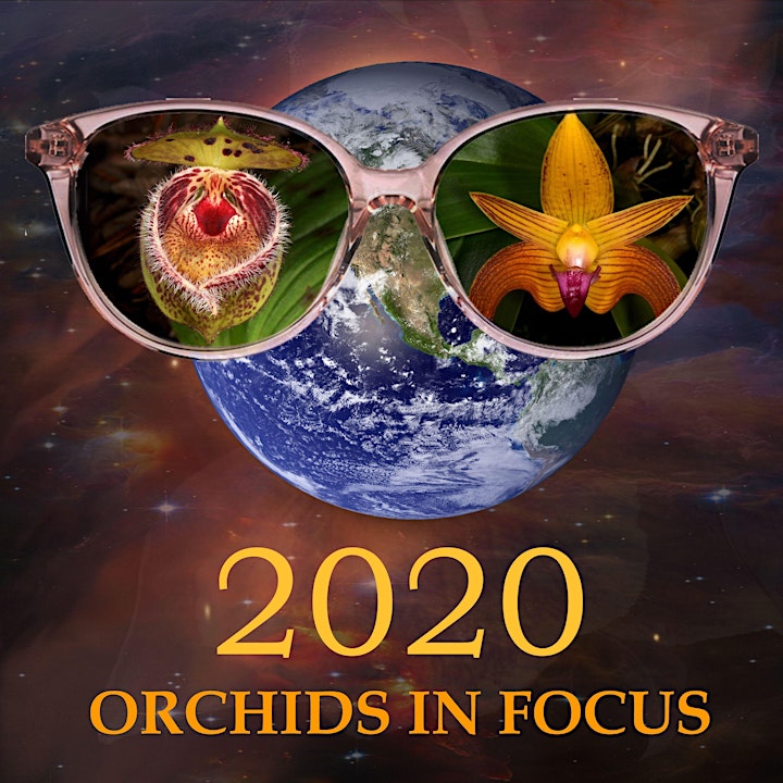 2020 Orchids in Focus : 68th Annual Pacific Orchid Expo image