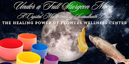 Image principale de Under a Full Sturgeon Moon Multisensory Sound Bath In-Person