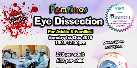 Femtinos Eye Dissection -  Adult & Families Workshop primary image