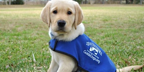 Service Dog Awareness Training for Emergency Responders primary image