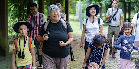 23 Nov (Sat) - Free guided walk at Pasir Ris Mangroves