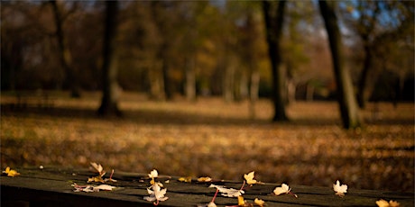 Autumn Kids 1 hour photo session primary image