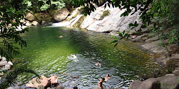 Reserva Ecológica Jureia-Itatins: cachoeiras e praias semidesertas