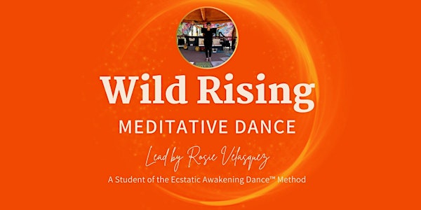 Ecstatic Dance: Feminine Rewilding Soma Flow