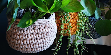 Crocheted Plant Basket Workshop primary image