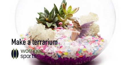 Make a terrarium primary image