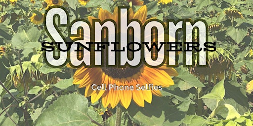 Image principale de First Sunday Photo Walk: Cell Phone Selfies at the Sanborn Sunflowers