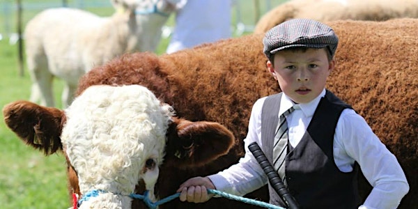 Co Louth Agricultural Show