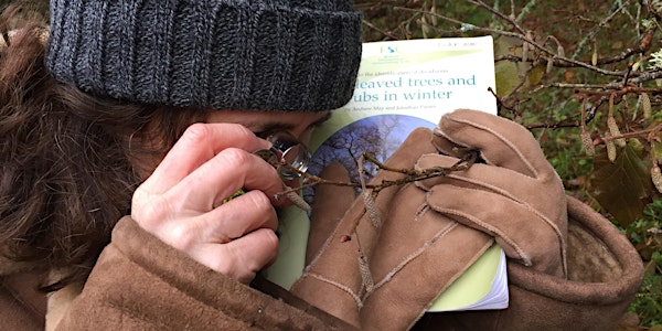 Winter Tree Identification Workshop at The Ecology Center Fife