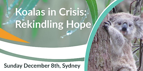 Koalas in Crisis: Rekindling Hope primary image