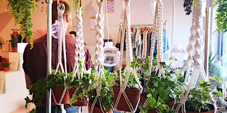 Macrame plant hanger workshop primary image