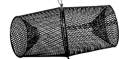 Freshwater Fishing 101: Nets & Traps primary image