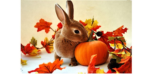 Image principale de September General Admission /Pumpkin Patch