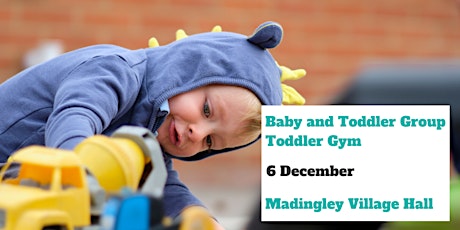 Baby and Toddler Group - Toddler Gym primary image