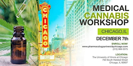 Imagen principal de Cannabis Comprehensive Full-Day Intensive Workshop