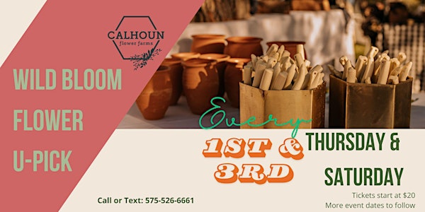 October U-Pick at Calhoun Flower Farms